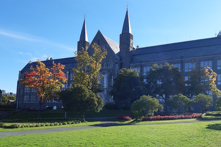 Trondheim Private Walking Tour with a Local