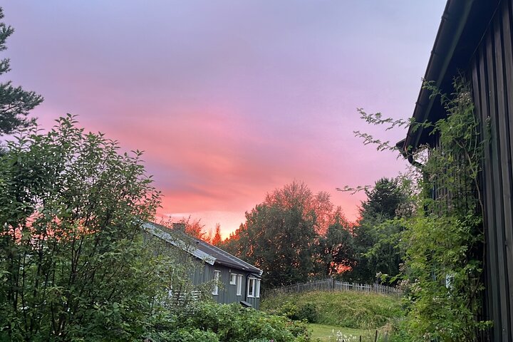 Trondheim Private Walking Tour with a Local