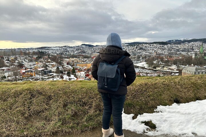 Trondheim Private Walking Tour with a Local
