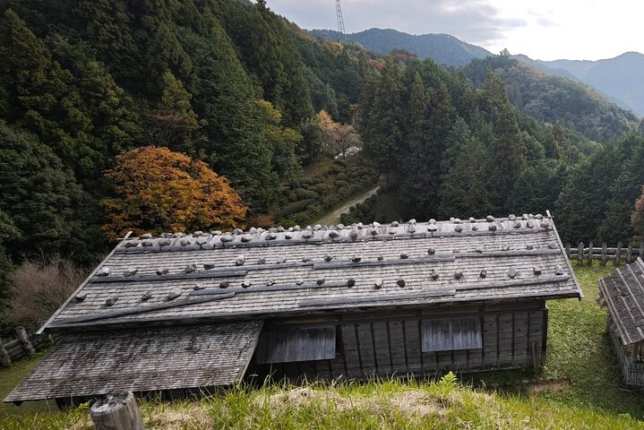 Nagoya: all-inclusive car tour to Korankei valley