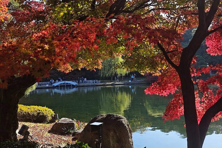 Nagoya: all-inclusive car tour to Korankei valley