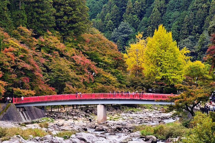 Nagoya: all-inclusive car tour to Korankei valley