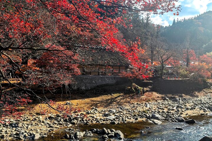 Nagoya: all-inclusive car tour to Korankei valley