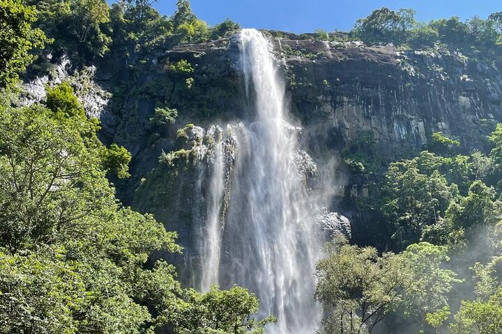 Diyaluma Waterfall and Natural Pool Bath With Lunch