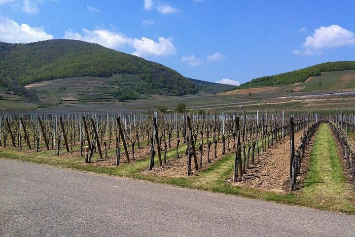 EVJF Alsace: panorama / wine tasting / visit to the HK / spa
