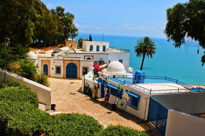 Tunis,Carthage&Sidi Bou Said:Premium Private Day Tour with Pickup