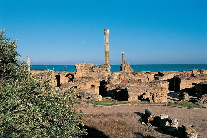 Tunis,Carthage&Sidi Bou Said:Premium Private Day Tour with Pickup