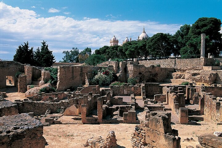 Tunis,Carthage&Sidi Bou Said:Premium Private Day Tour with Pickup