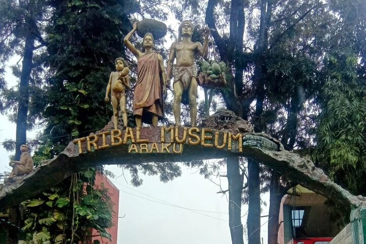 Vishakhapatnam Discovery with Borra Caves and Araku Valley