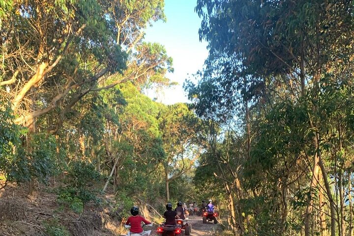 Quad Bike Experience at Tsitsikamma National Park
