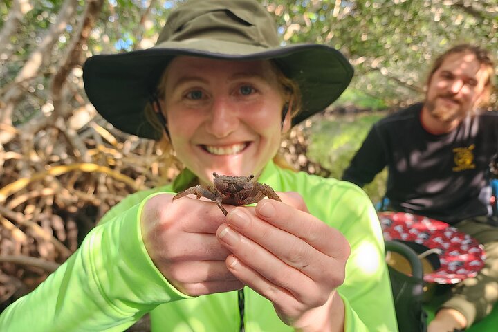 Kayak through Mangrove Forests in the Florida Keys