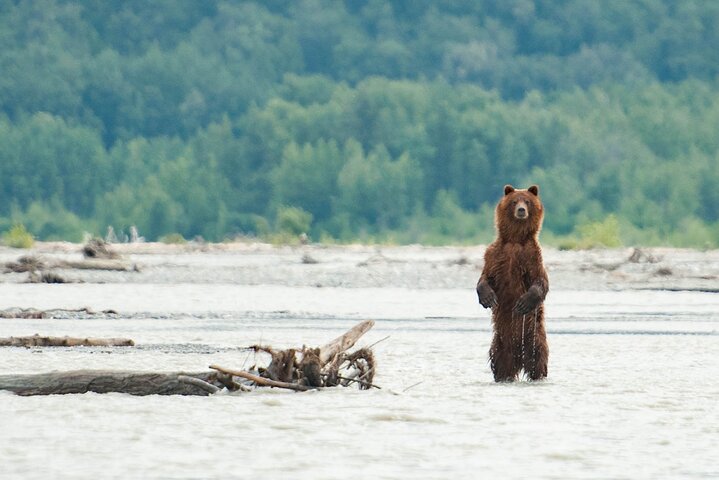 Semi Private Eagle Preserve Rafting Alaska Wildlife Adventure