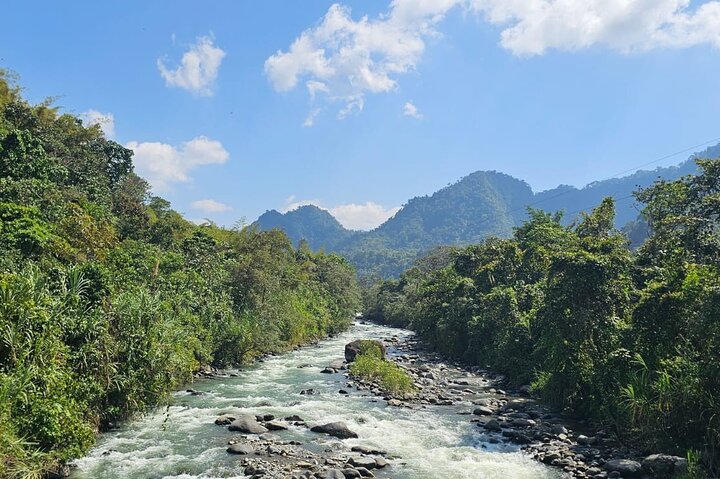 Mindo Cloud Forest Birdwatching & Photography - Private Day Tour