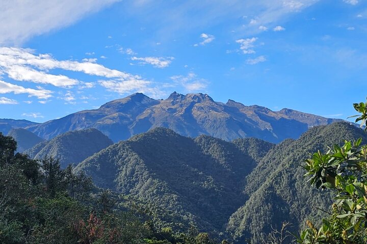 Mindo Cloud Forest Birdwatching & Photography - Private Day Tour