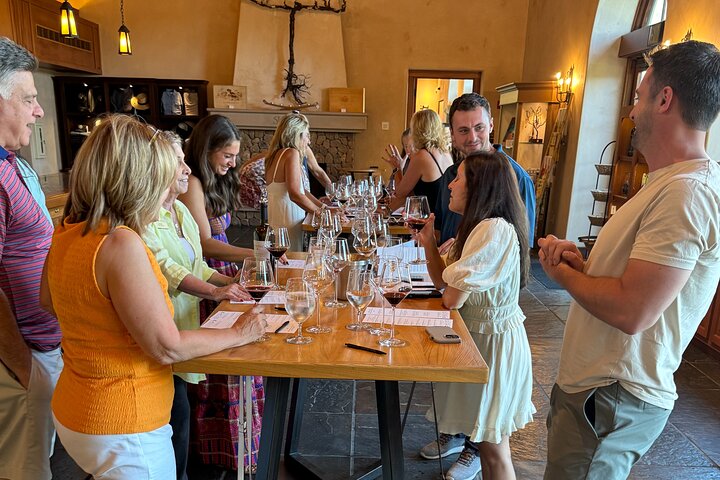 Healdsburg 6 Hour Wine Tour with Luxury SUV - Seats up to 4