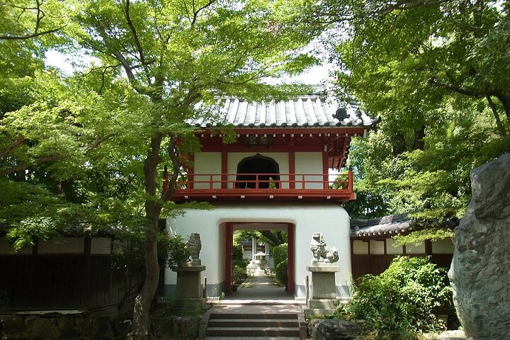 Nagoya: all-inclusive car tour to Korankei valley