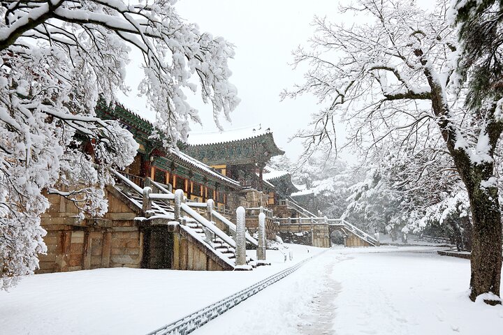 Gyeongju UNESCO World Heritage Guided Day Tour from Busan