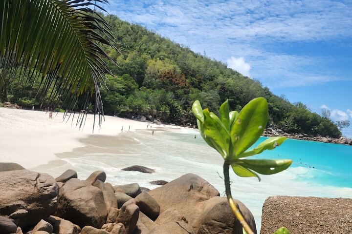 Private Tour of Praslin Island Seychelles