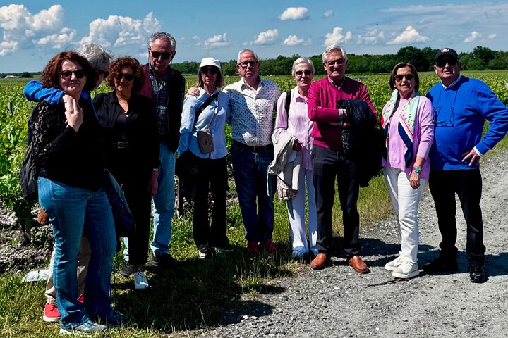 Saint-Émilion & Pomerol Wine Tour: Tastings, Lunch & WSET Guide