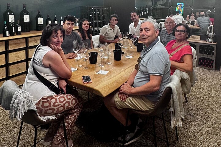 Saint-Émilion & Pomerol Wine Tour: Tastings, Lunch & WSET Guide