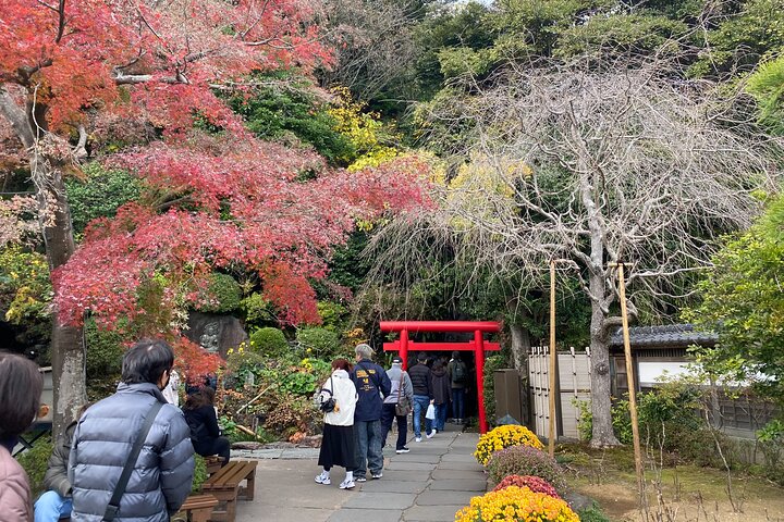 Kamakura Private Custom Tour: Great Buddha, Temples & Coast