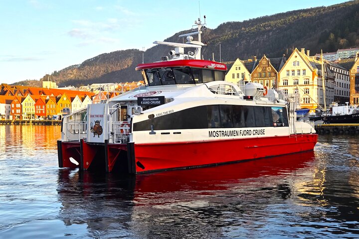 Mostraumen Fjord Cruise – Operated & Guided by Locals