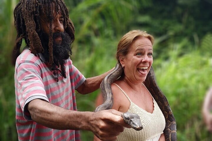 Dominica Roseau City and Rainforest Tour