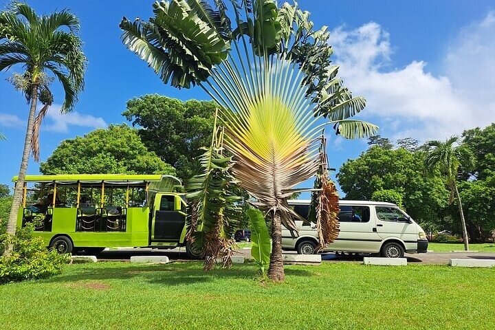 Dominica Roseau City and Rainforest Tour