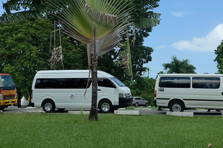 Dominica Roseau City and Rainforest Tour