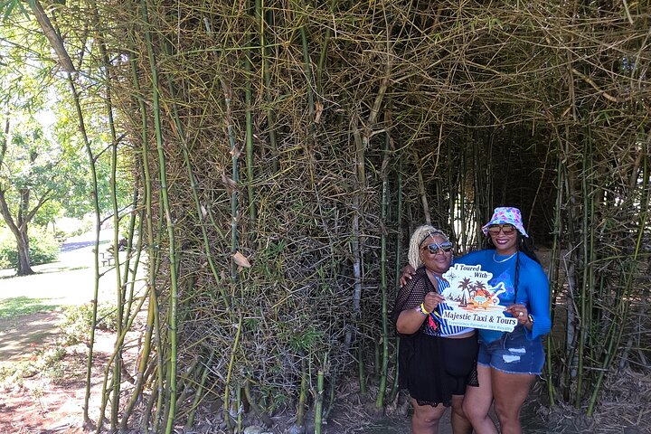 Dominica Roseau City and Rainforest Tour