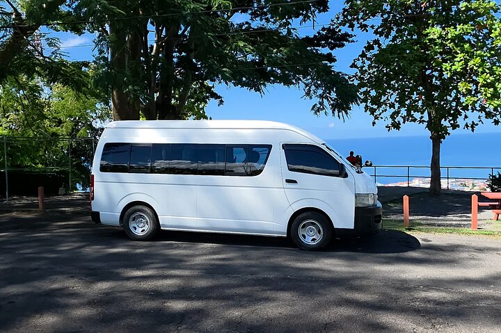 Dominica Roseau City and Rainforest Tour