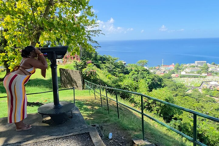 Dominica Roseau City and Rainforest Tour