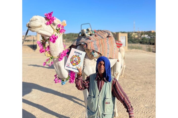 Fun VIP Day Tour: El Jem, Kairouan & Monastir/Sousse (Pickup All)