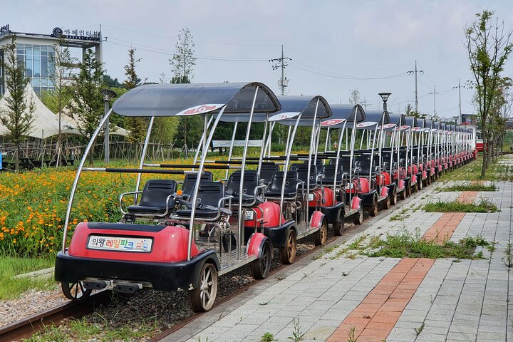 Private Guided Tour For Nami Alpaca Rail bike and Seoraksan
