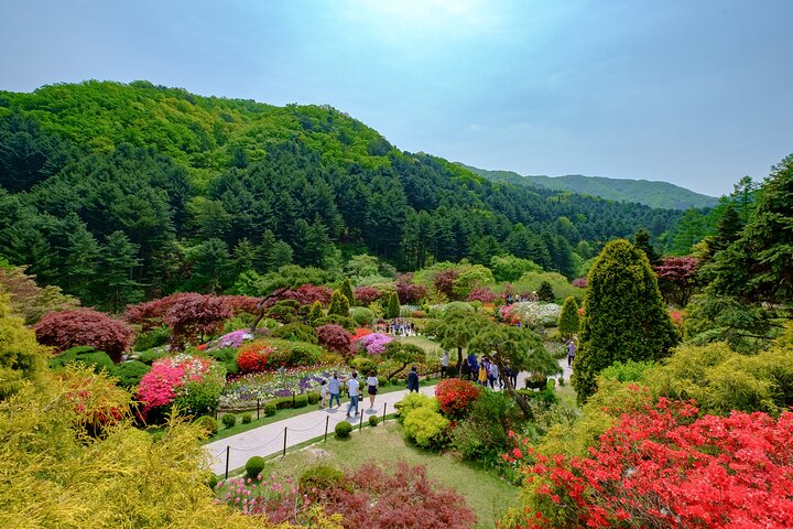 Private Guided Tour For Nami Alpaca Rail bike and Seoraksan