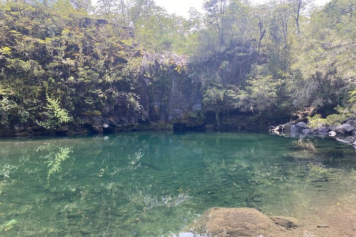 Custom Tour of the Lakes Region in Chile