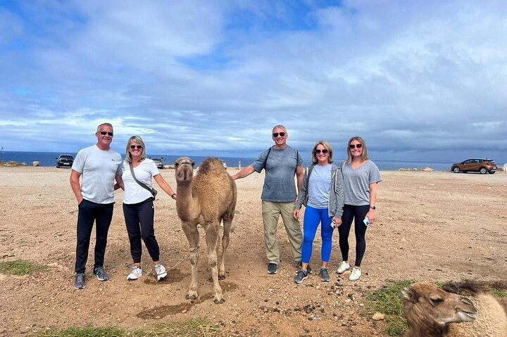 Private Luxury 4-Hour Tangier tour