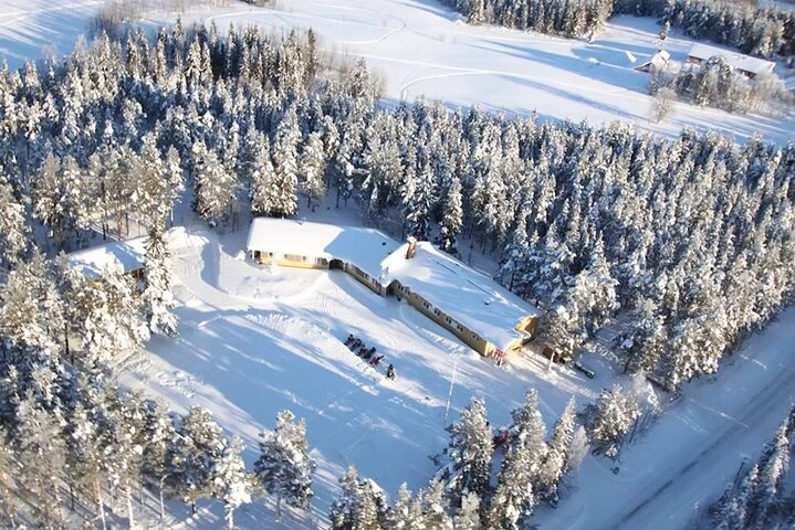 Northern Lights Kick Sled Adventure with Reindeer and Kota