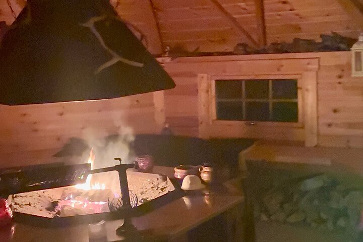 Northern Lights Kick Sled Adventure with Reindeer and Kota