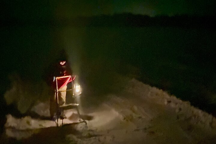 Northern Lights Kick Sled Adventure with Reindeer and Kota