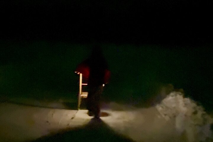 Northern Lights Kick Sled Adventure with Reindeer and Kota