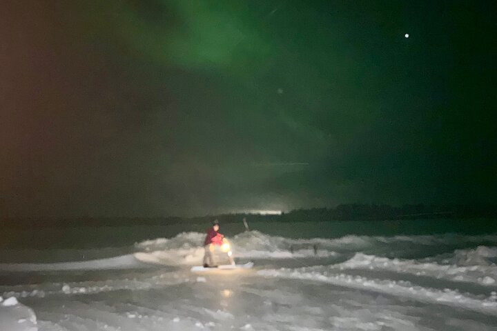 Northern Lights Kick Sled Adventure with Reindeer and Kota