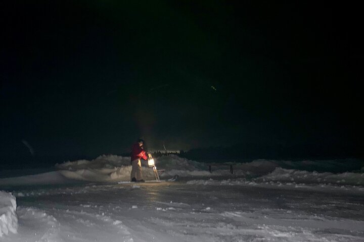 Northern Lights Kick Sled Adventure with Reindeer and Kota