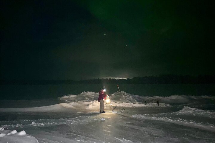 Northern Lights Kick Sled Adventure with Reindeer and Kota
