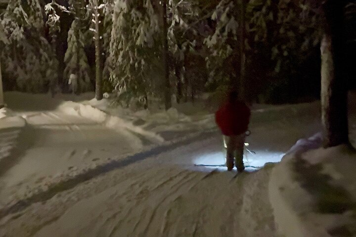 Northern Lights Kick Sled Adventure with Reindeer and Kota