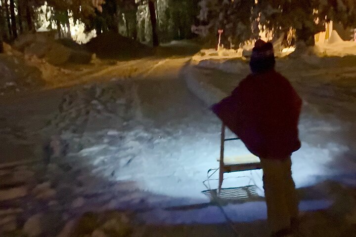 Northern Lights Kick Sled Adventure with Reindeer and Kota