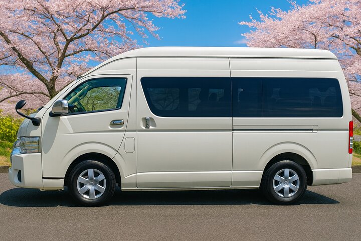Narita Airport (NRT) To/From Tokyo City Private Transfer