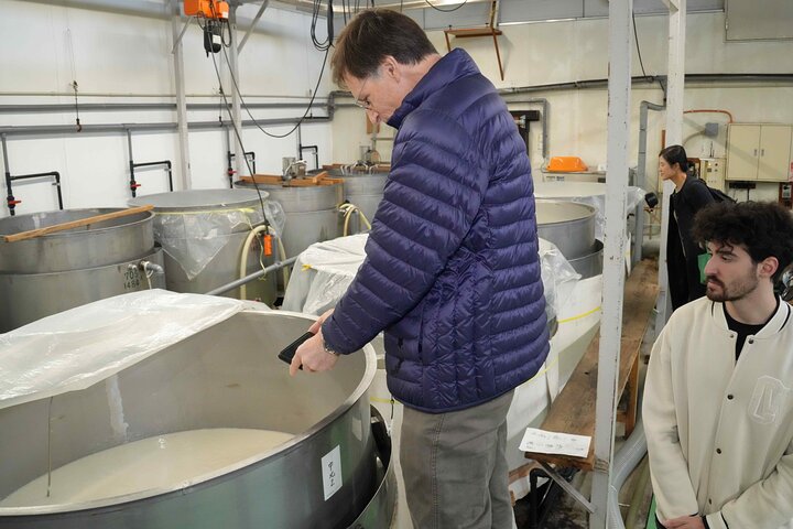 Sake Brewery Tour and Label Making in Historic Tokoname
