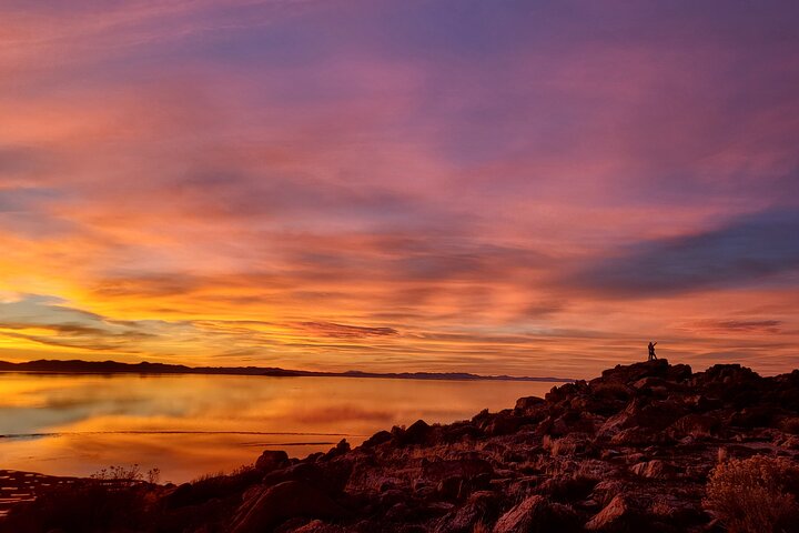 Great Salt Lake Safari - Discover Antelope Island