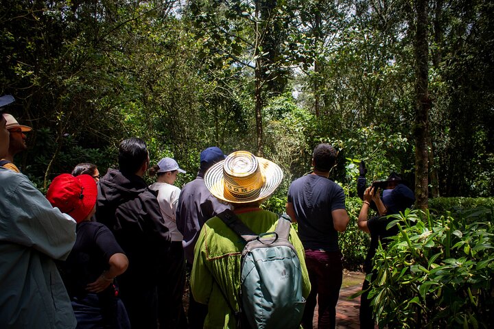 Shared Tour Zipaquirá Salt Cathedral and Guatavita Lagoon